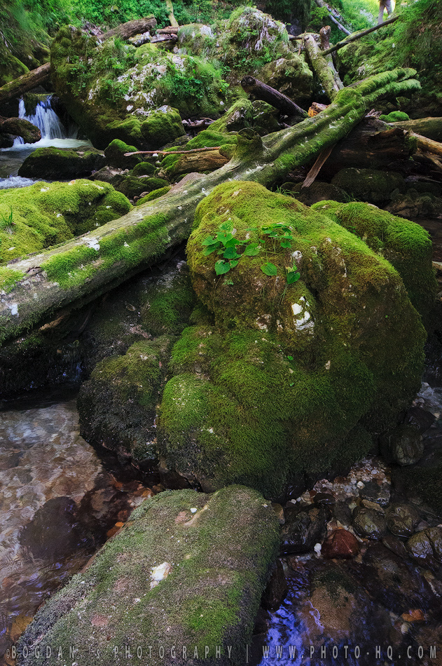 Natura si aventura